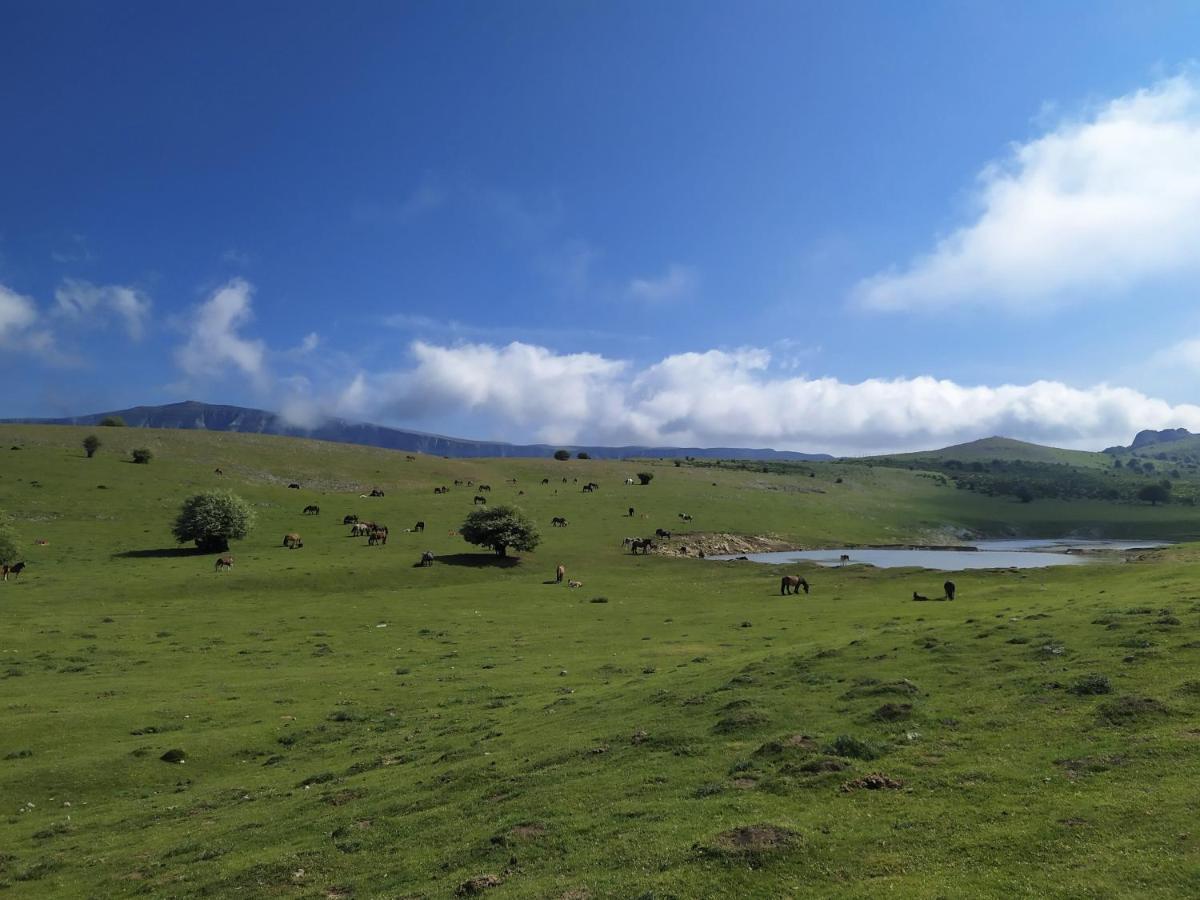 Casa Rural Ulibarri Allo Екстер'єр фото